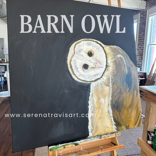 Barn Owl (36"x36")